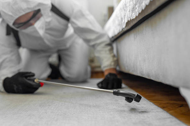 Professional Pest Control technician working in Stirling, NJ