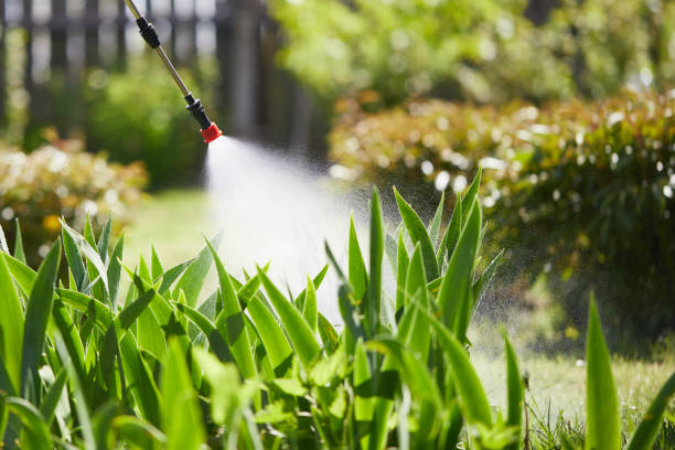 24/7 Emergency Rodent Control experts in Stirling, NJ