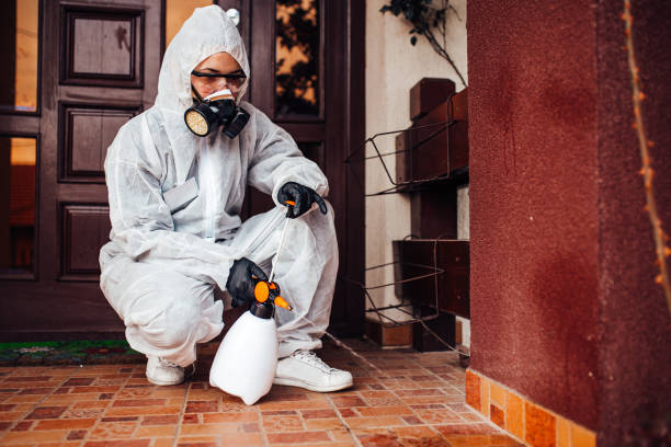 Reliable Rodent Control contractor in Stirling, NJ by Nex Pest Control