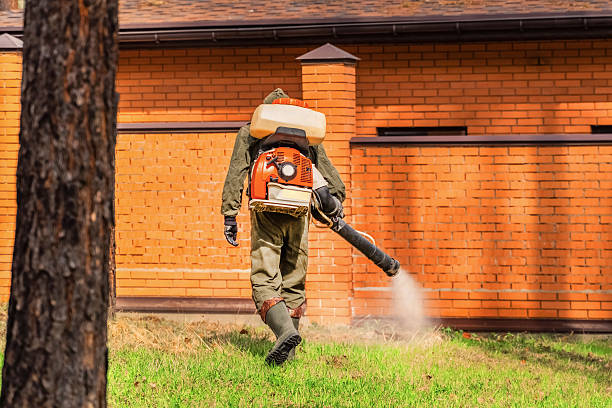 Trusted Ant Control service in Stirling, NJ - Nex Pest Control